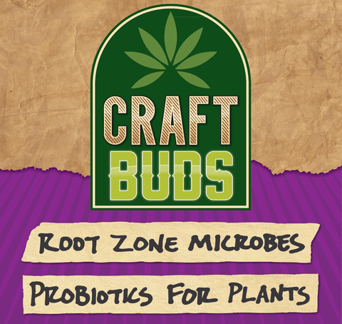Root-Zone Microbes: Probiotic for Plants